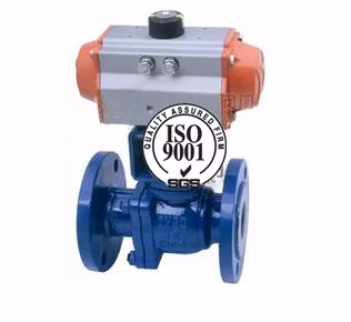 Valvola a sfera rivestita in fluoro forgiata Flow Master Pn16