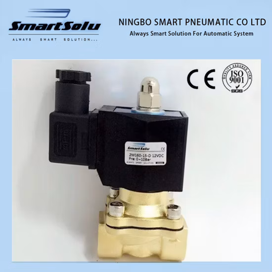 Elettrovalvola in ottone per confezionatrice sottovuoto per 12V 24V 220V